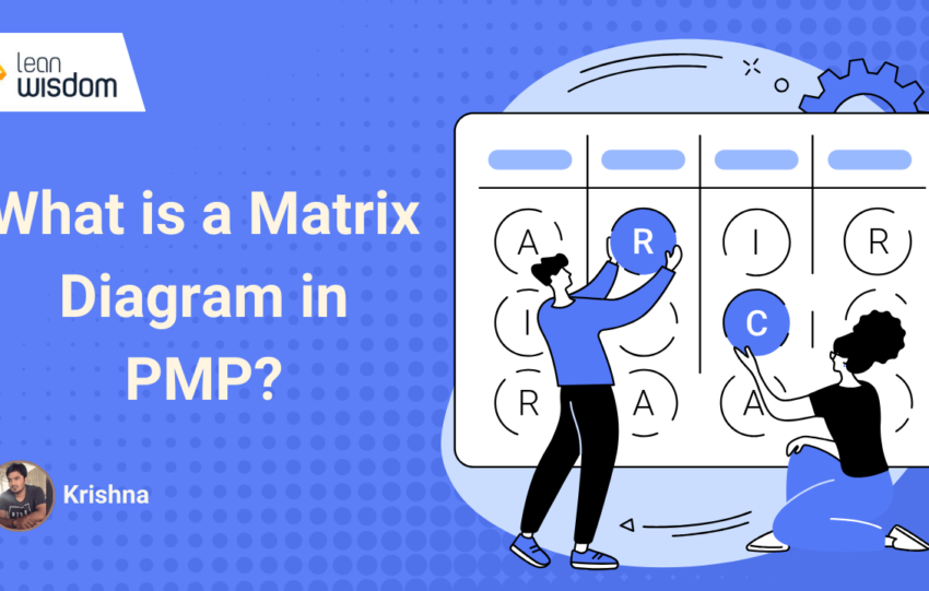 what is a matrix diagram in pmp
